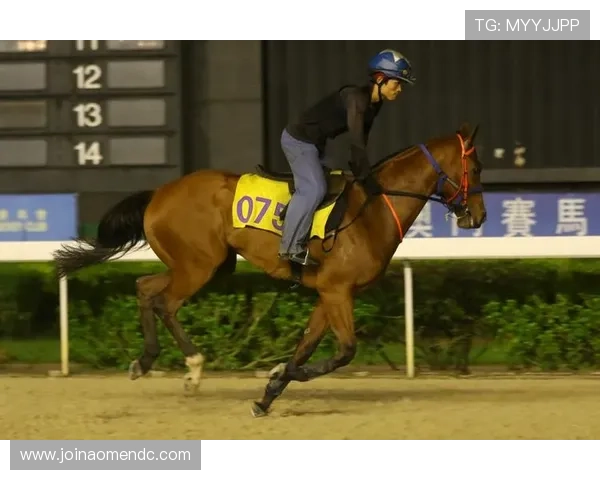 澳门赛马最新消息关于澳门赛马节精彩赛事亮点和观众指南